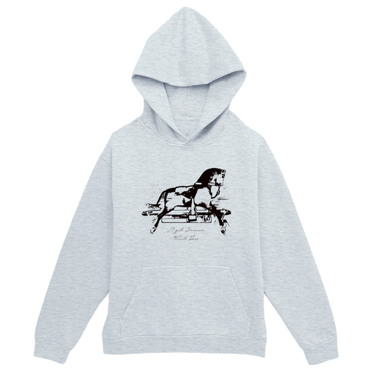 Wraith US 2025 Tour Hoodie